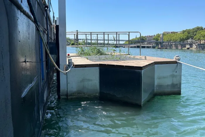 phytoflottante péniche Lyon